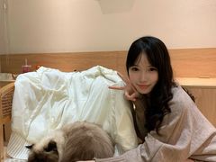 -猫小主咖啡·猫咖cat cafe(福田店)
