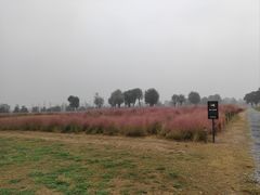 -汉长安城未央宫国家考古遗址公园