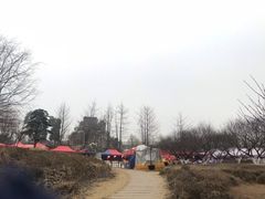 -秀丽东方