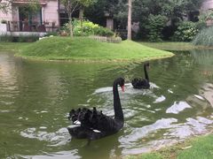 -东方绿舟景区