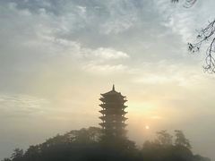 -缙云山景区