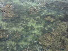 -三亚西岛海洋文化旅游区