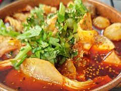 -极乐小煮·成都冒菜(科技绿洲店)