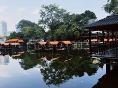 -侨美·唐荔园·40年地道粤菜