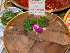 -小龙坎火锅(全球旗舰店)