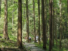 -罗田薄刀峰风景区