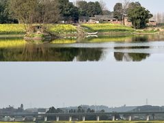 -两河城市森林公园