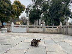 -宝通禅寺