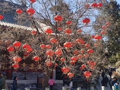 -香山公园