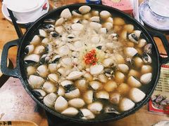 -顺德哥卜卜贝(旗舰店)