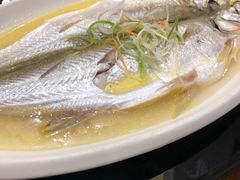 清蒸鲜白鱼-锡和无锡菜(景丽苑店)