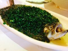 烧椒鲈鱼-尘香•传统川菜(创汇首座店)