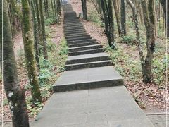 -梧桐山风景名胜区