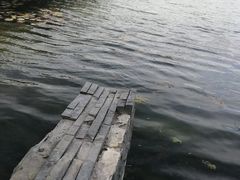 -新江湾城公园