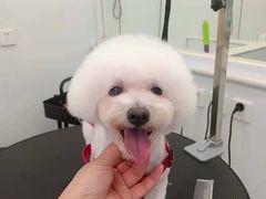 -美联众合24小时·皮肤科·外科·全科诊疗中心(华苑分院)
