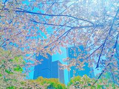 -西北湖绿化广场