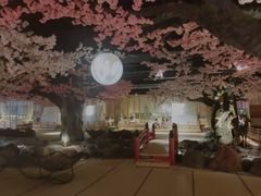 -蓝鲸湾汤泉(包河店)