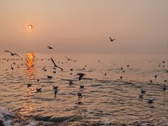 -老虎石海上公园