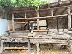 -清风小镇闯关东影视基地