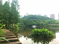 -重庆彩云湖湿地公园