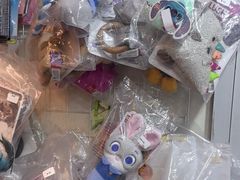 -宠爱国际动物医院·消化内科·心肾内科·ISFM猫友好(望京店)
