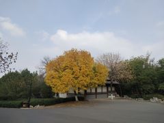 -千佛山风景名胜区
