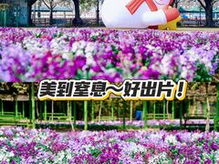 -盈香心动乐园