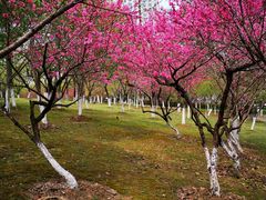 -白塘生态植物园