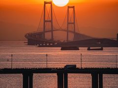 -宝安西湾红树林湿地公园