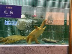 -鱼你相聚·河鲜馆(袁家岭店)