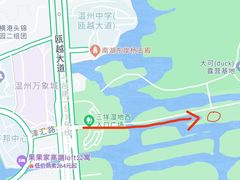 -三垟湿地