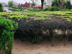 -丁家河公园