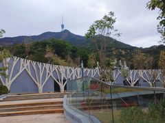 -梧桐山风景名胜区