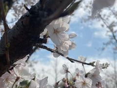 -嘉北郊野公园
