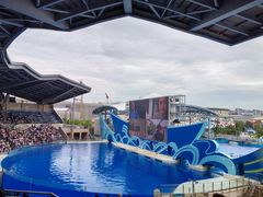 -上海海昌海洋公园