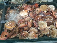 -海帮主·蒸汽海鲜青岛菜(栈桥火车站店)