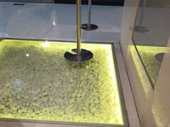 -狐狸和向日葵(北京路店)