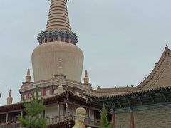 -张掖大佛寺景区