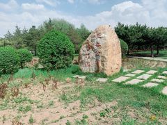 -长春公园(普阳街道)