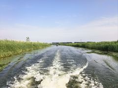 -白洋淀景区