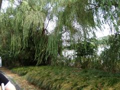 -梁鸿国家湿地公园