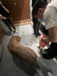 -Zoolung Zoolung动物主题公园(海信广场店)