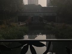 -暨阳湖生态园