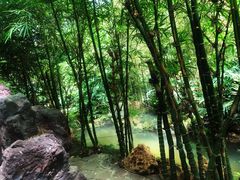 -南通洲际绿博园