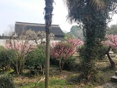 -雨花胜境