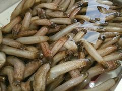 -蚝专家(北滘店)