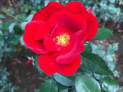 -人民公园(罗湖区)