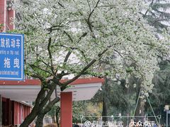-四川大学(望江校区)