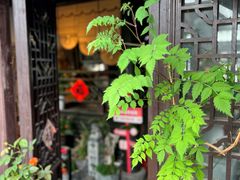 -乌镇东栅景区