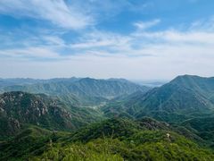 -大岭沟猕猴桃谷风景区